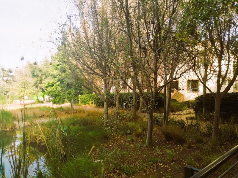 2 Bedroom Property for Sale in Somerset West Western Cape
